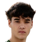 Afonso Assis